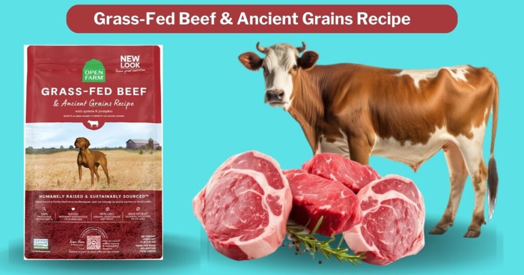 Open Farm Grass-Fed Beef & Ancient Grains Recipe