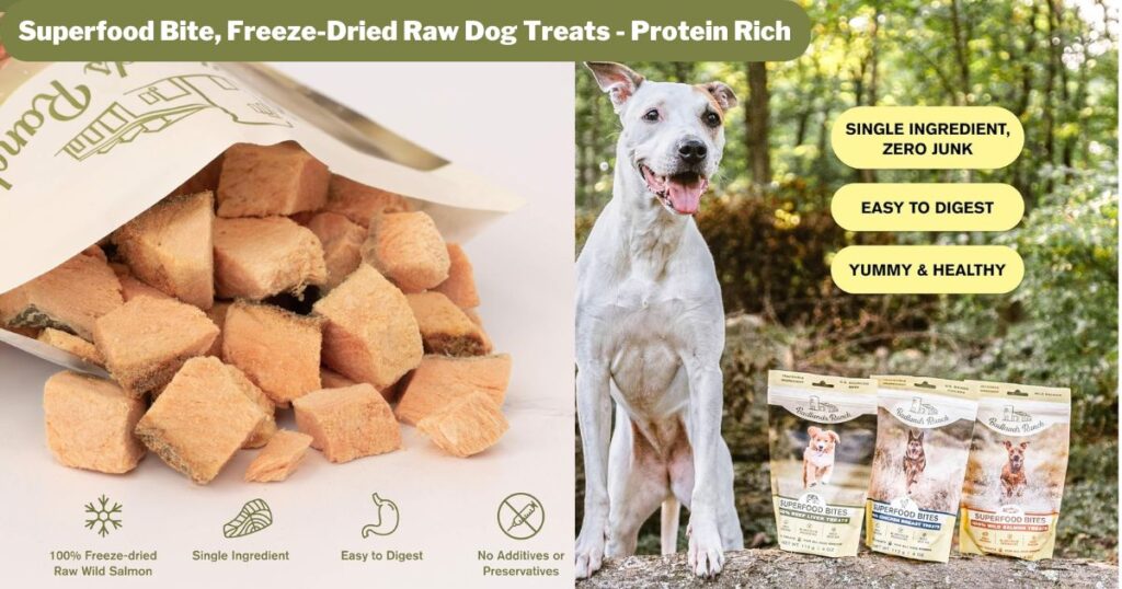 Superfood Bite, Freeze-Dried Raw Dog Treats - Protein Rich