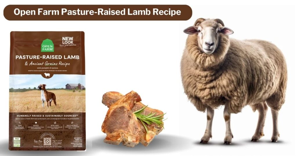  Open Farm Pasture-Raised Lamb Recipe