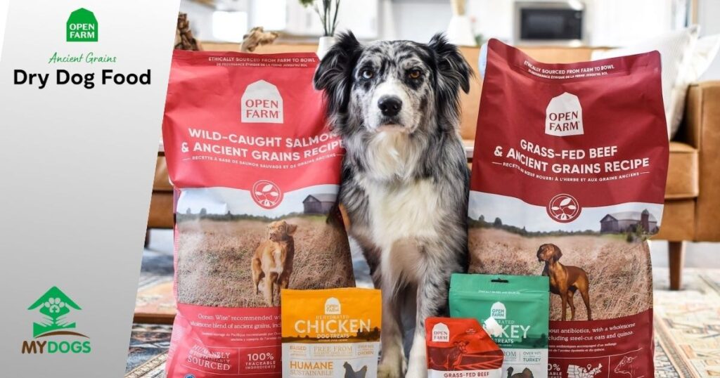 Final Words about Open Farm Dog Food Brand