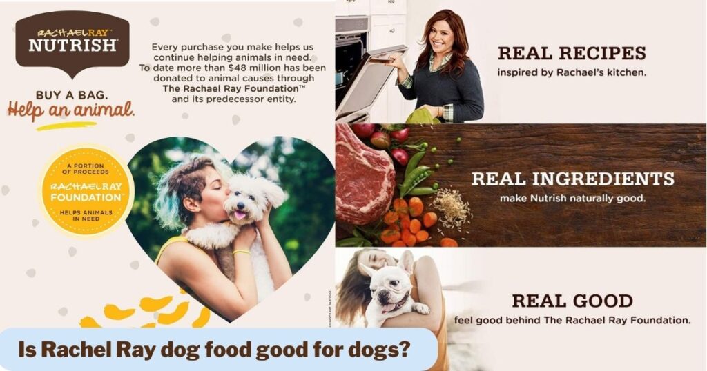 Is Rachel Ray dog food good for dogs?