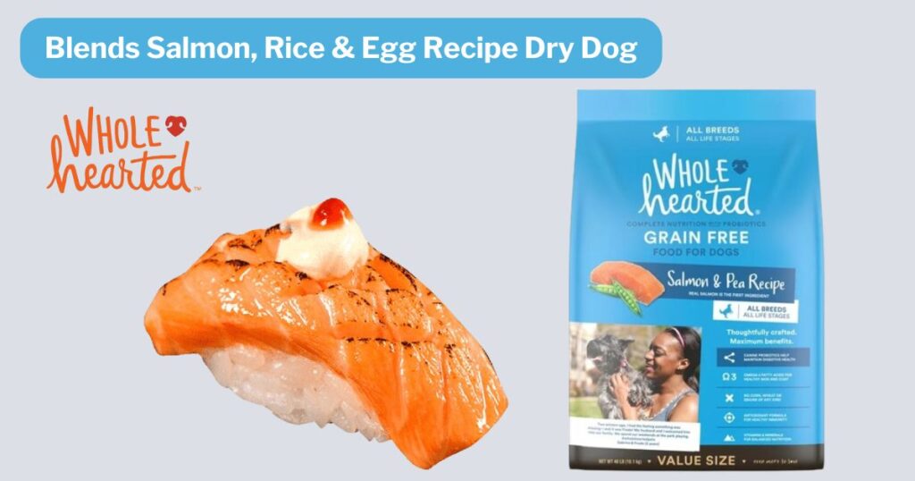 WholeHearted Simple Blends Salmon, Rice & Egg Recipe Dry Dog