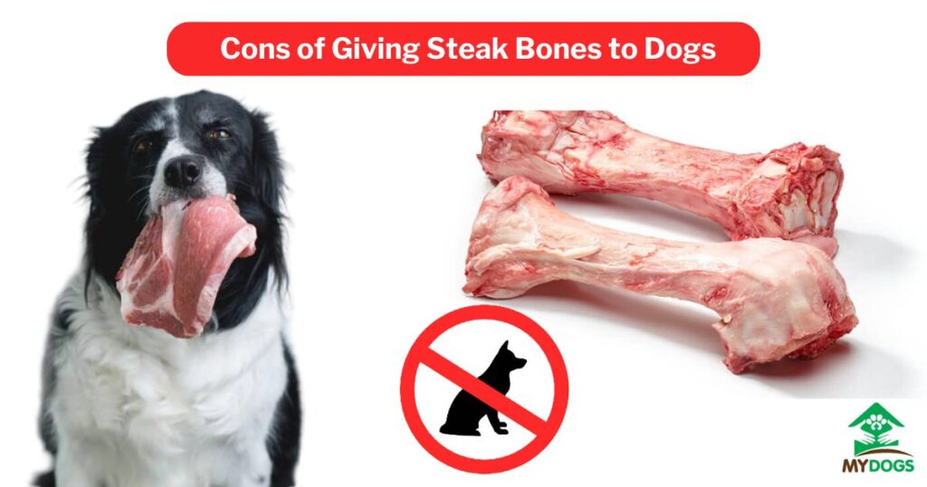 Cons of Giving Steak Bones to Dogs