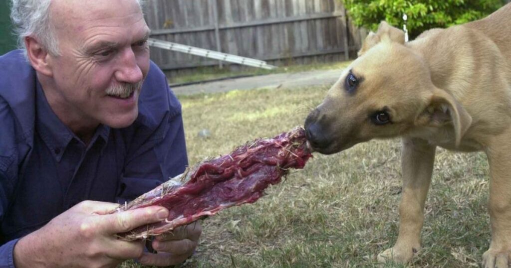 Dog Owners’ Experiences with Steak Bones