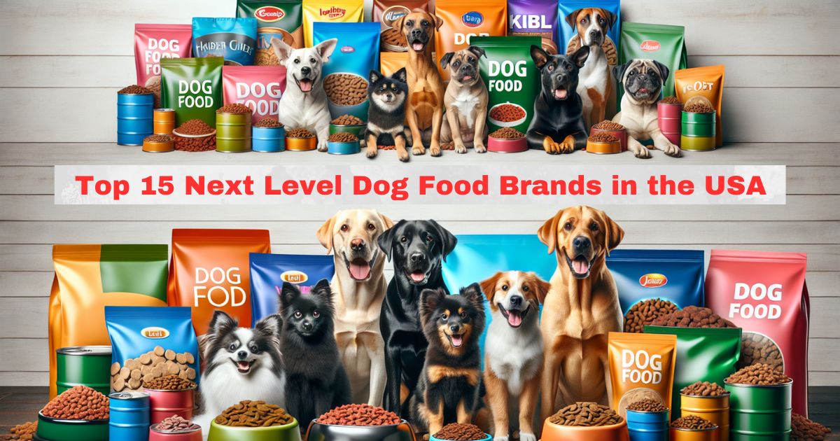 Next Level Dog Food Brands in the USA