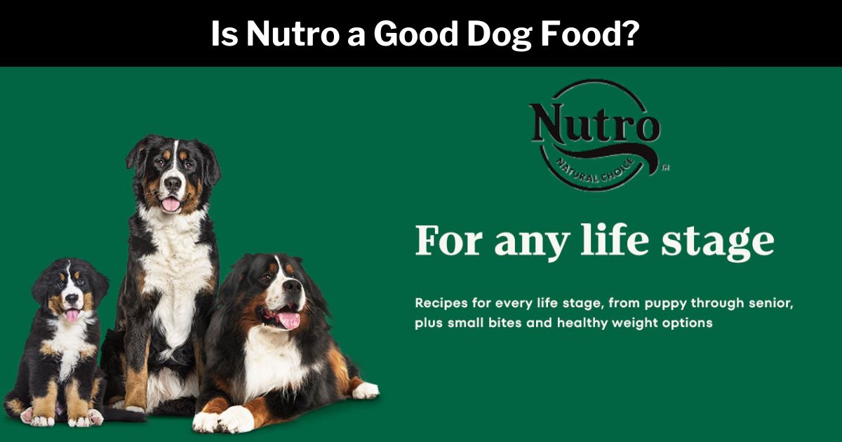 is nutro a good dog food