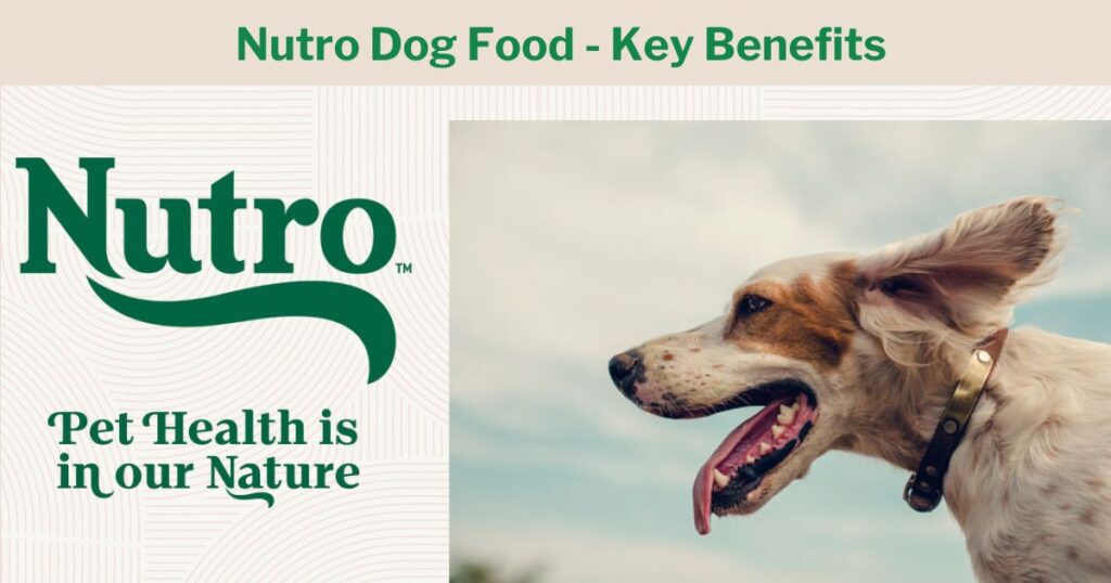 Is Nutro a Good Dog Food - Key Benefits