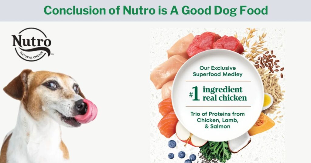 Conclusion of Nutro is a Good Dog Food